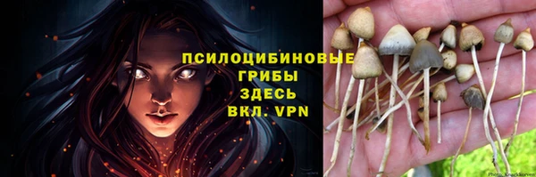 бошки Алексин