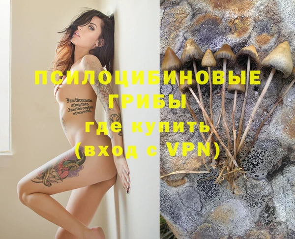 бошки Алексин
