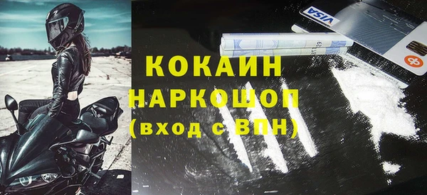 бошки Алексин